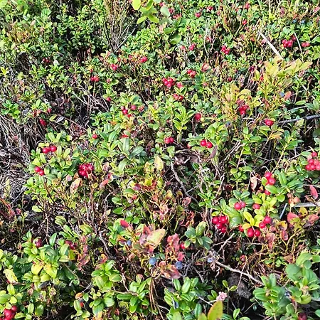 Peaceful With Stunning View *